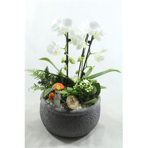 9001 CASCADE KER GREY