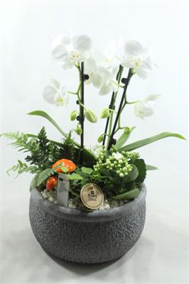 <h4>0322 KER GREY PARAPLU</h4>