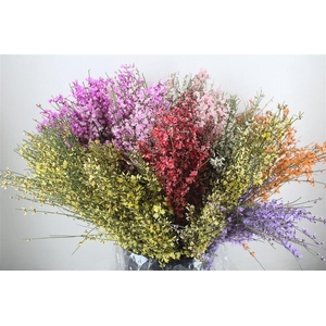 Ginster 200gr Mix Pbs