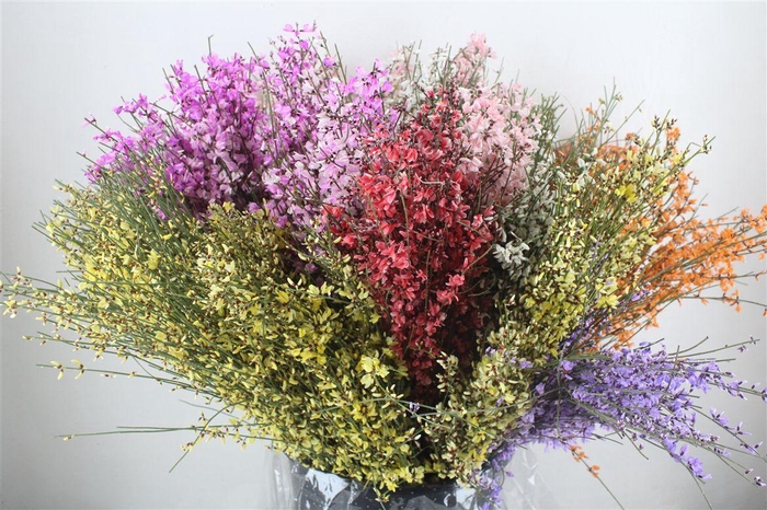 <h4>Ginster 200gr Mix Pbs</h4>