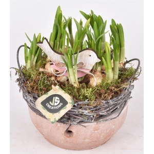 Cement schaal met wilg rand 18cm