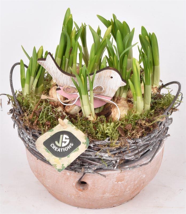 <h4>Cement schaal met wilg rand 18cm</h4>