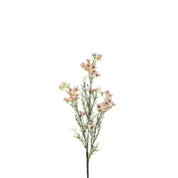 <h4>Wax flower 67cm</h4>