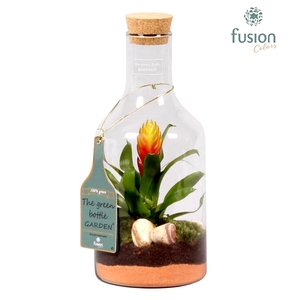 Green Bottle H33 klein met