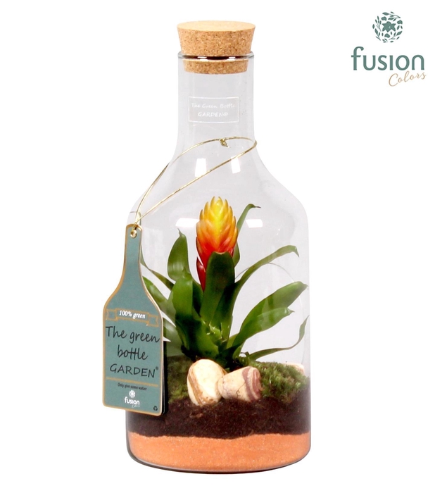 <h4>Green Bottle H33 klein met</h4>