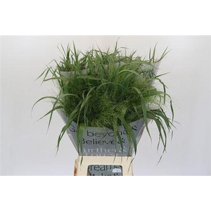 PANIC VI FONTAINE 70CM