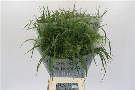 <h4>PANIC VI FONTAINE 70CM</h4>