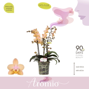 Aromio Fresh 3 spike