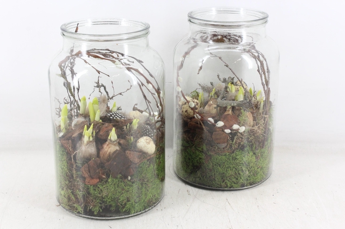 <h4>arr4 Narcis MB - Glas vaas dik 999/6</h4>