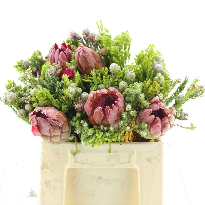 <h4>ALLERHEILIGENBOEK BS</h4>