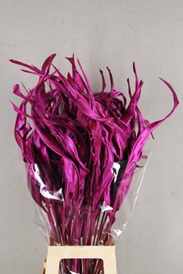<h4>Df Strelitzia Leaf Metal Erica</h4>