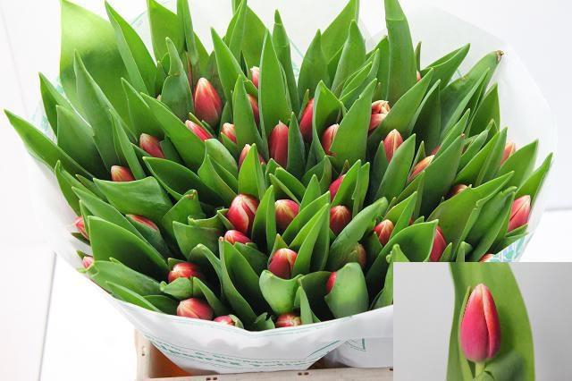 <h4>TU EN OUTFIT</h4>