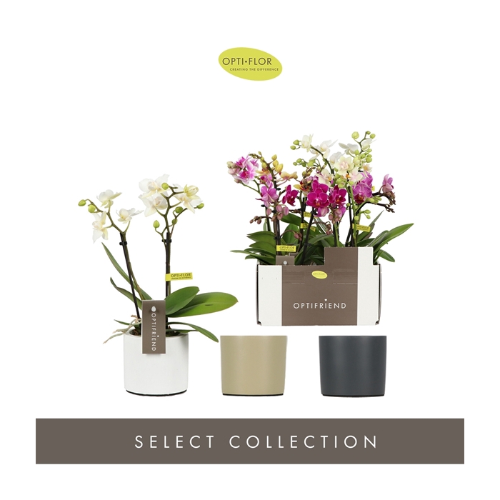 <h4>Optifriend Mix 2 spike in Toscane Mix</h4>