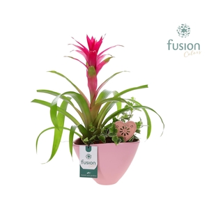 Pot keramiek ovaal Medium met Arrangement