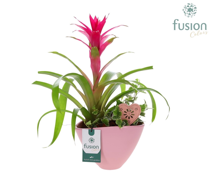 <h4>Pot keramiek ovaal Medium met Arrangement</h4>