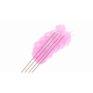 Dried Bleached Ficus Stem Pink