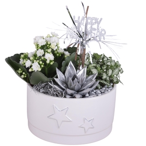 New Year Arr. Indoor Ceramic Pot Round Star Relief Ø17cm 3PP