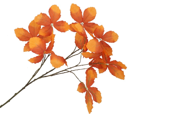 <h4>Silk Leaf Chestnut Orange 135cm</h4>