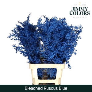 Gebleekt Ruscus Italiaans L70 Klbh. blue