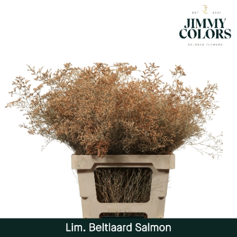<h4>Lim Bel L70 Salmon</h4>