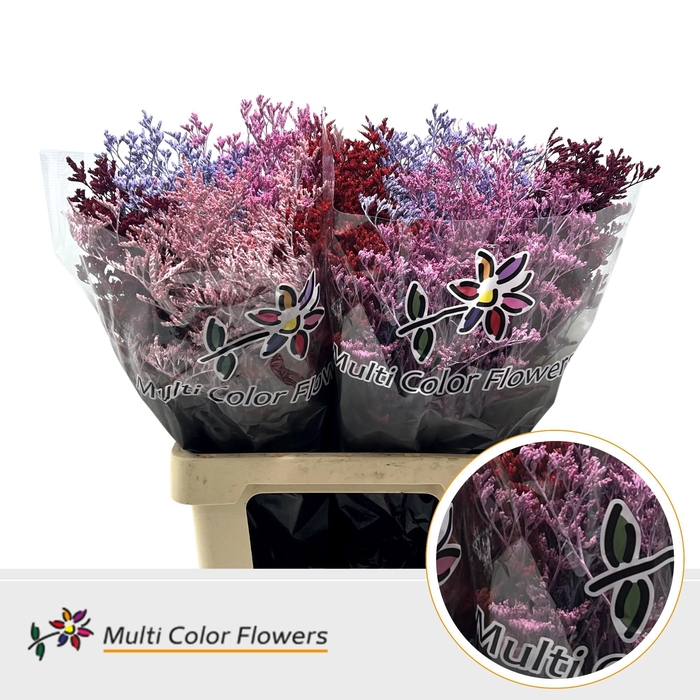 <h4>Limonium Love Mix</h4>