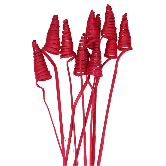 <h4>Sticks 50cm Cane Cone</h4>