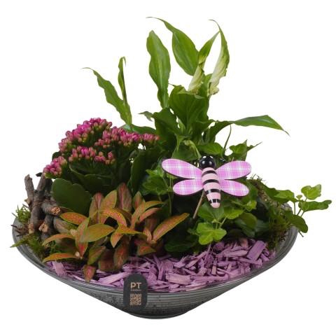 <h4>PTIG2666 Arrangementen kamerplanten</h4>