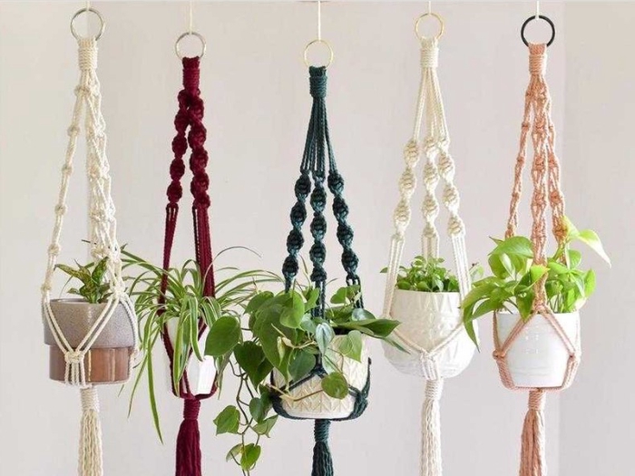 SUPORTE PLANTA PP - M RAMI