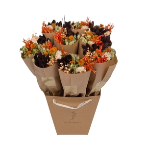 Droogbloemen-Market More 50cm - Dark Amber