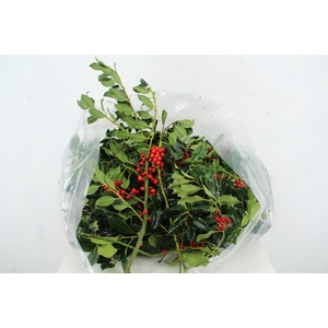 HULST RED BERRY PER KG