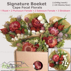 KAAPS GROE GEM IN BS