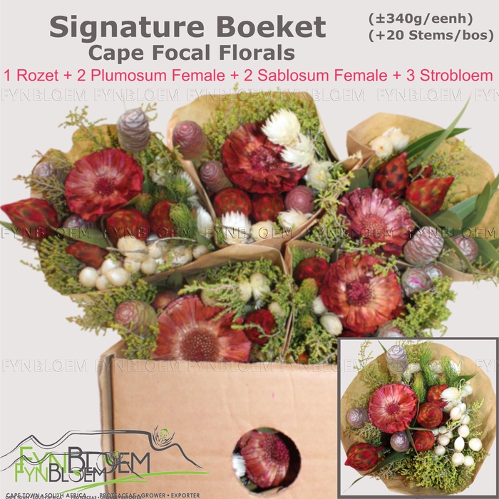 <h4>KAAPS GROE GEM IN BS</h4>