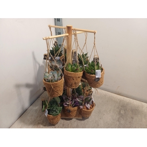 ! PROMO !! ECHEVERIA TOWER