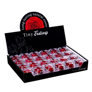 Giftbox Display Jewel Red02