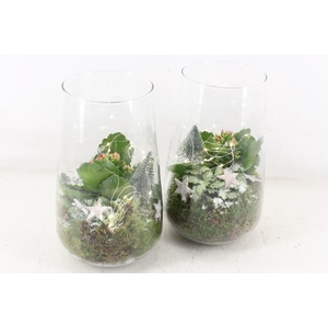 arr2 JS - Glas hoog LED 335/5