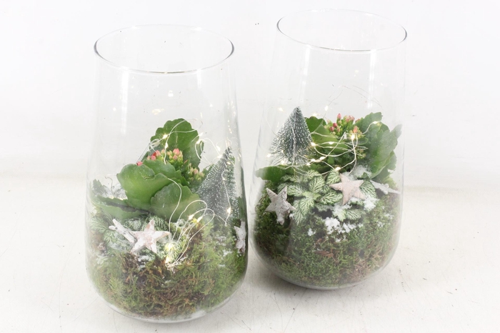 <h4>arr2 JS - Glas hoog LED 335/5</h4>