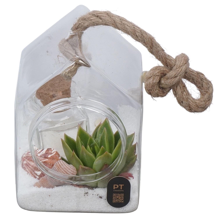 <h4>Arr. Planten L%</h4>