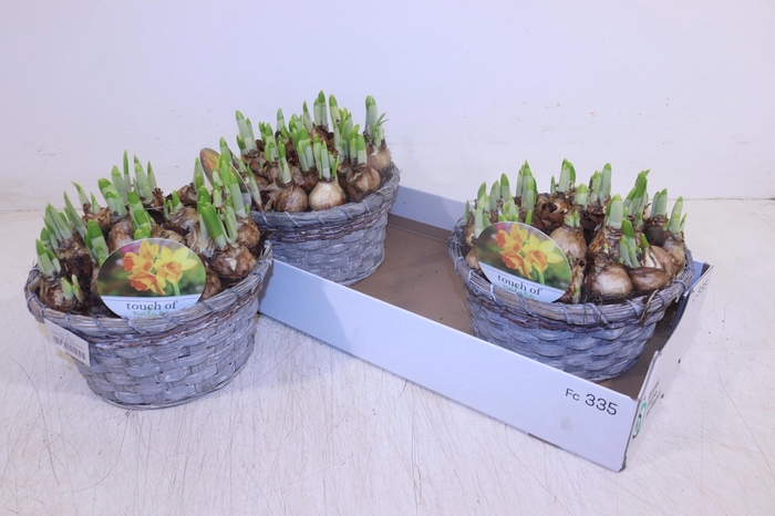 <h4>ARR N TETE A TETE</h4>