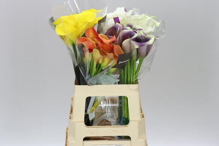 <h4>Zant Mix X40</h4>