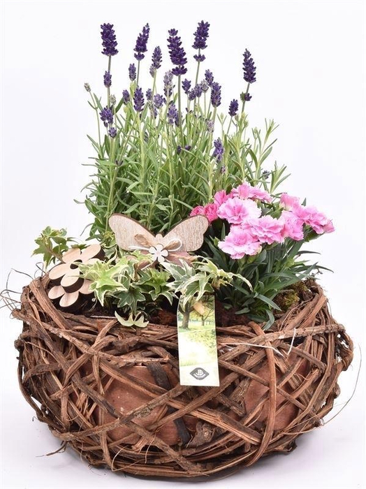 Natuur krans br. 26cm