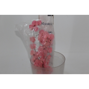 PLANTA SECA BOUGAINVILLE ROSA 40CM