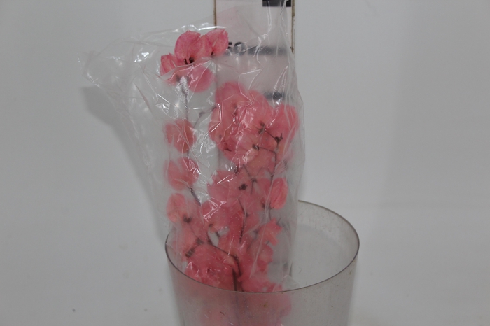 <h4>PLANTA SECA BOUGAINVILLE ROSA 40CM</h4>