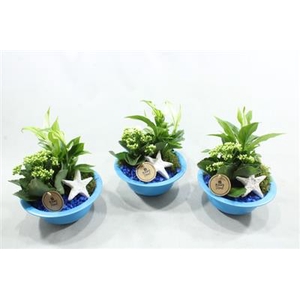 2856 ZINK BLAUW SUMMER