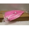 Feather ostrich ceris 5st/ bunch