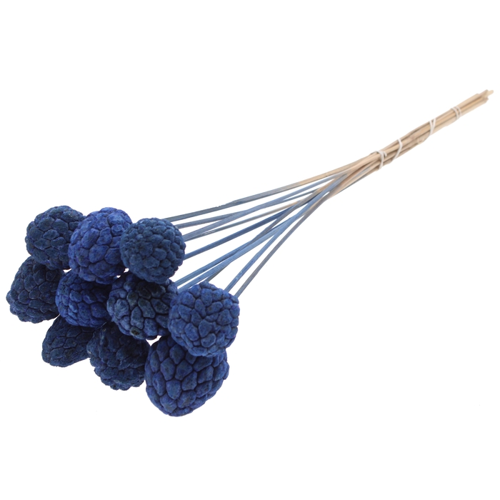 <h4>Atta Fruit on stem Intense Blue</h4>