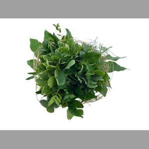 BQ Sisal Green Big