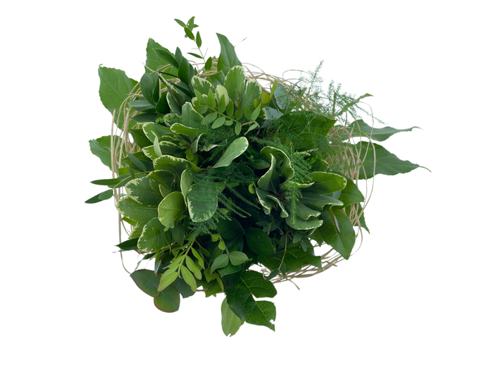 <h4>BQ Sisal Green Big</h4>