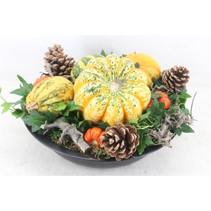 arr4 Sierfruit MB - Zink schaal black