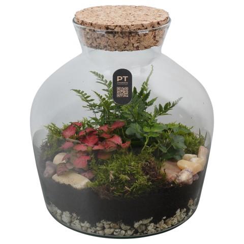 <h4>PTTER8111 Arrangement terrarium in glazen terrarium</h4>
