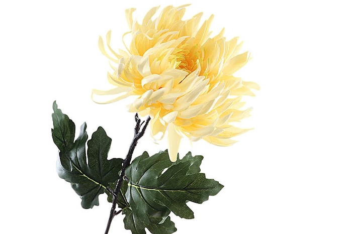 <h4>Chrysant Deco Yellow</h4>